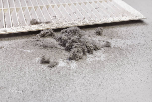 Best Air Duct Cleaning Company Near Me  in Campbell, MO