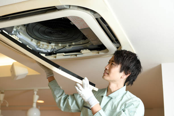 Best Ductwork Cleaning Services  in Campbell, MO